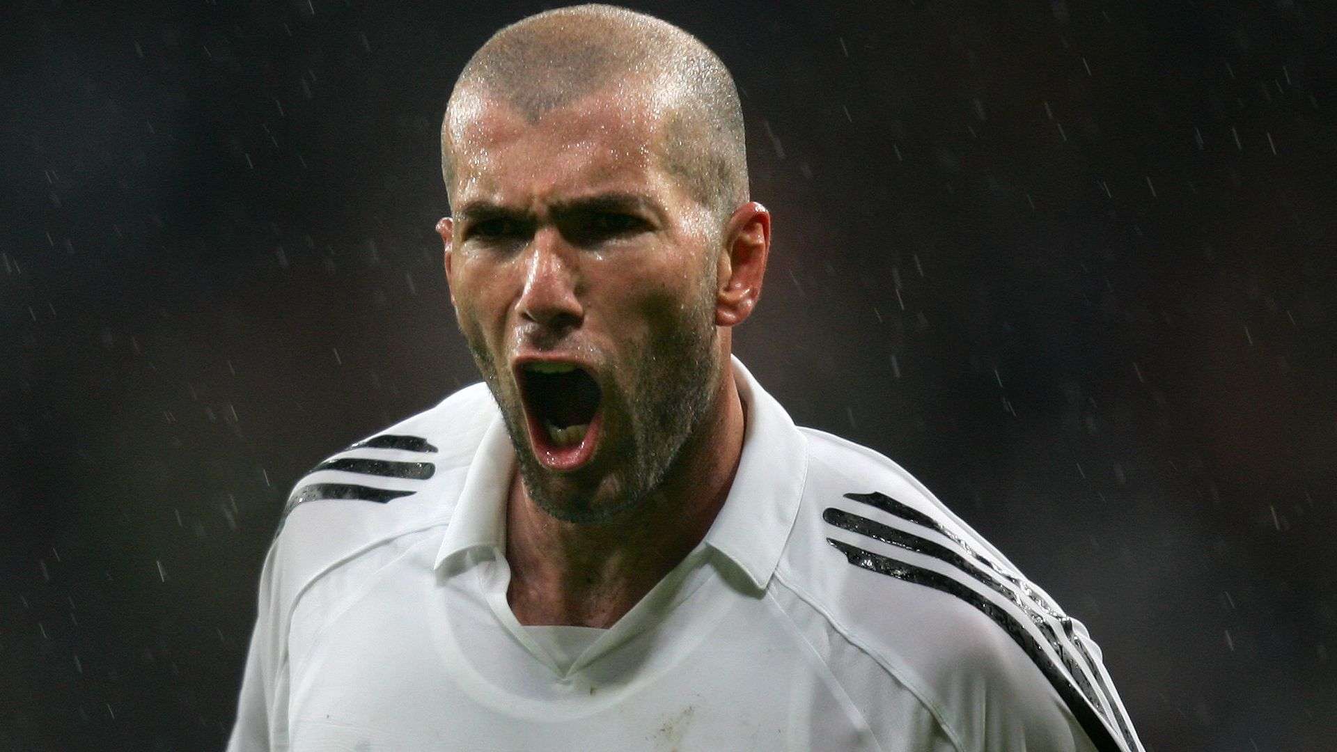 這兩支中國 這兩支中國