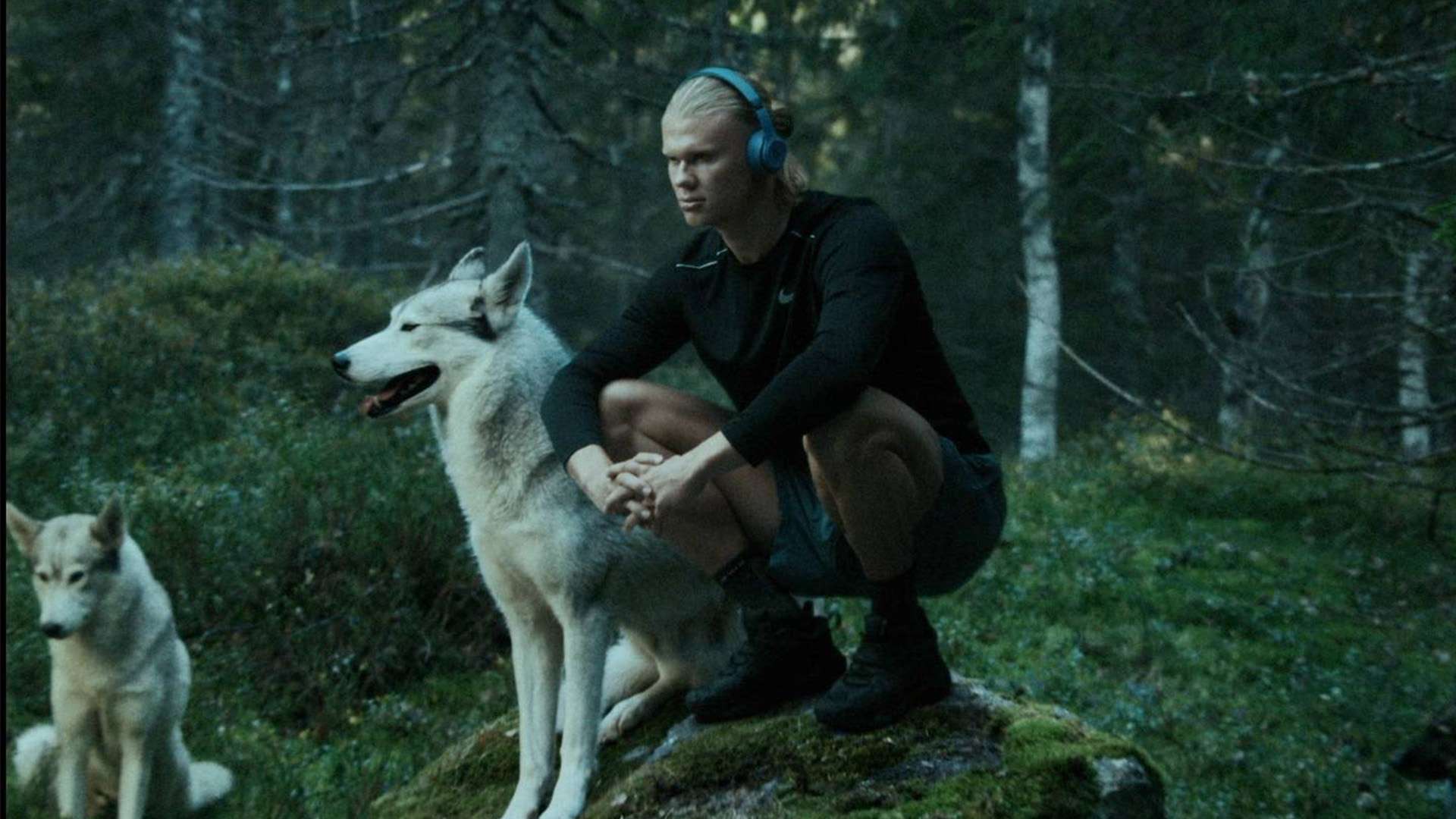 闻从未停歇 闻从未停歇